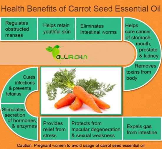 carrot-info.jpg