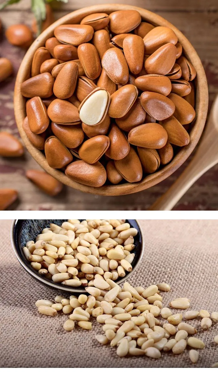 pine nuts for sale / fine nuts from south africa / sell pinenuts