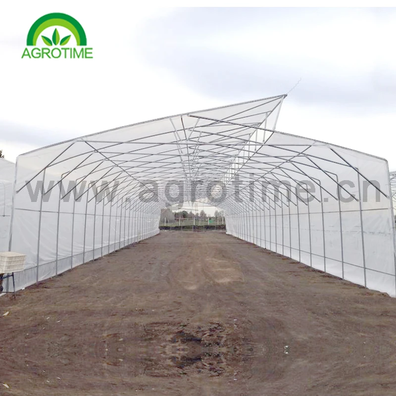 
Agricultural Single Span Tunnel Roof Vent Green house 