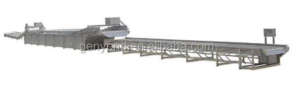 Automatic Fruit And Vegetable Processing Machine Equipment/Berry Washing Machine