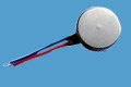 flat vibration motor 1.jpg