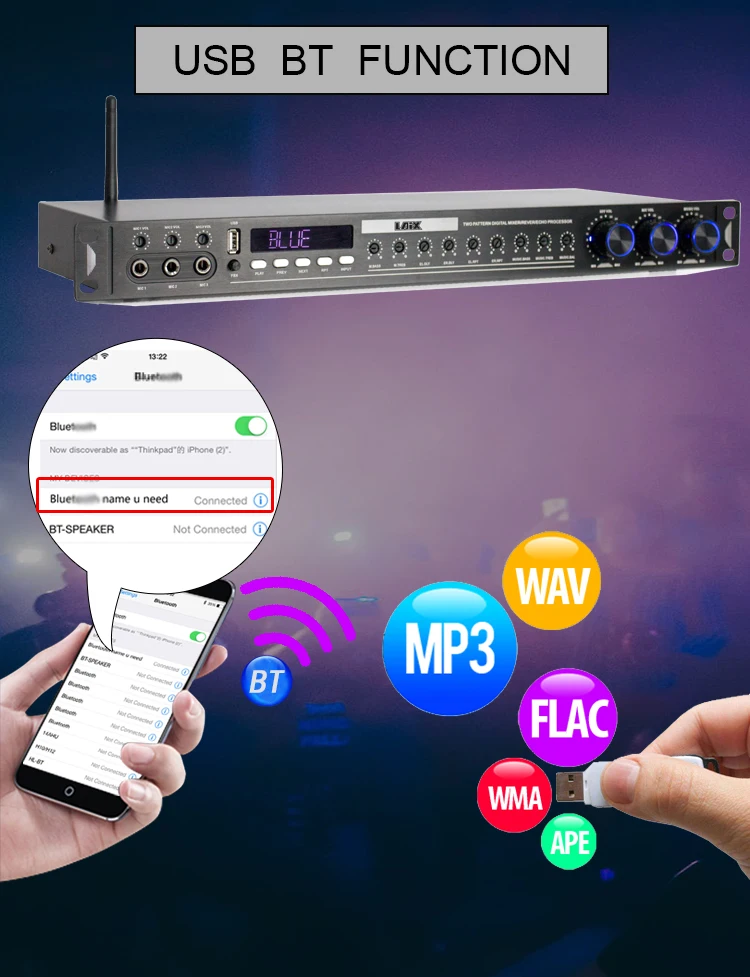 Laix Lxx6 Ampli Digital Sound Echo Professional Audio Compressor