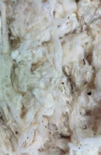 Синтетические волокна. Очищенное волокно. Что такое волокно хлопковое волокно. Древесная целлюлоза. Шелк сырец некрученый.