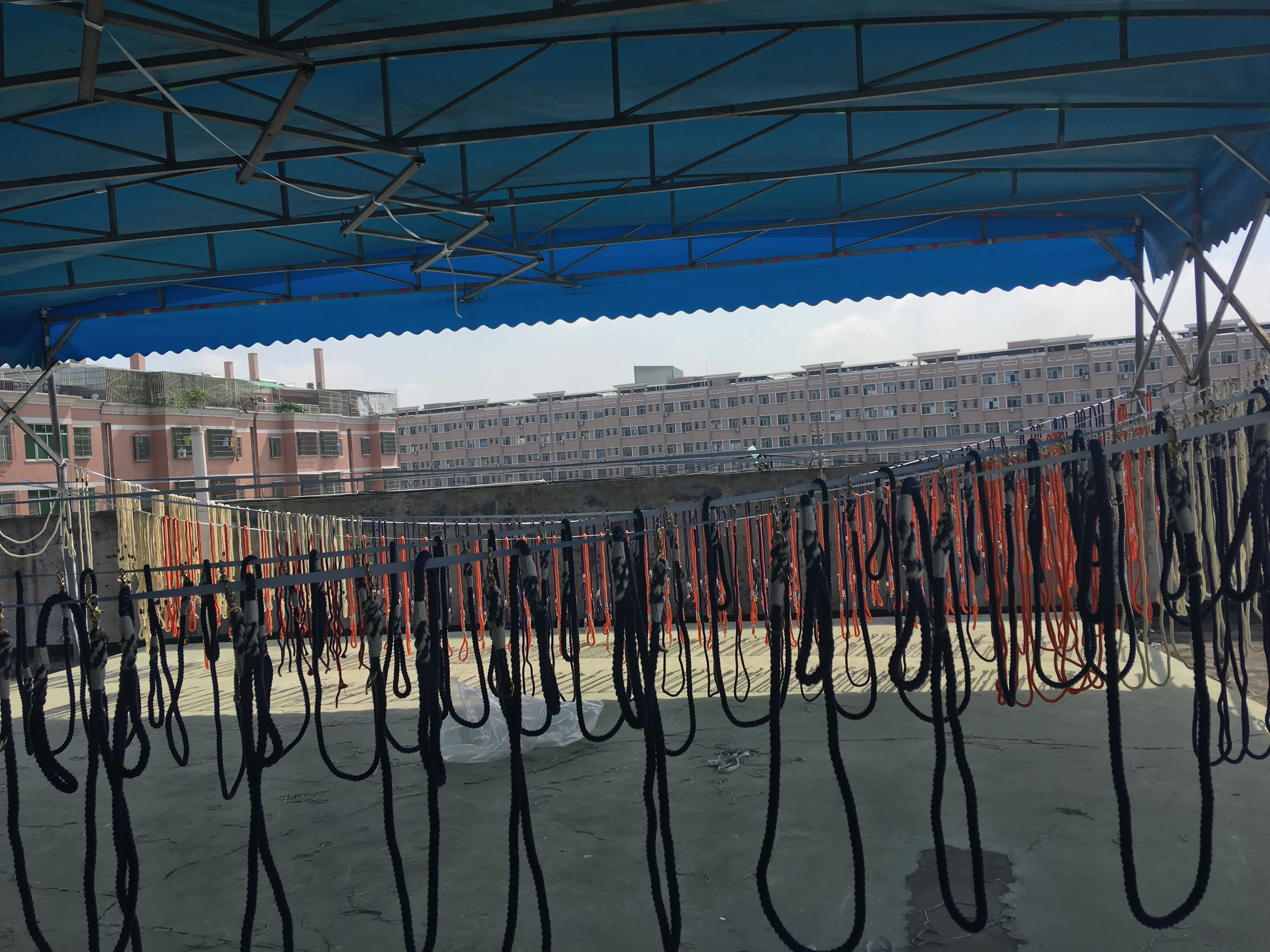 Custom Color high quality new design 100% cotton dog leash With Metal Logo Tag innovative Slip Rope Lead Leash