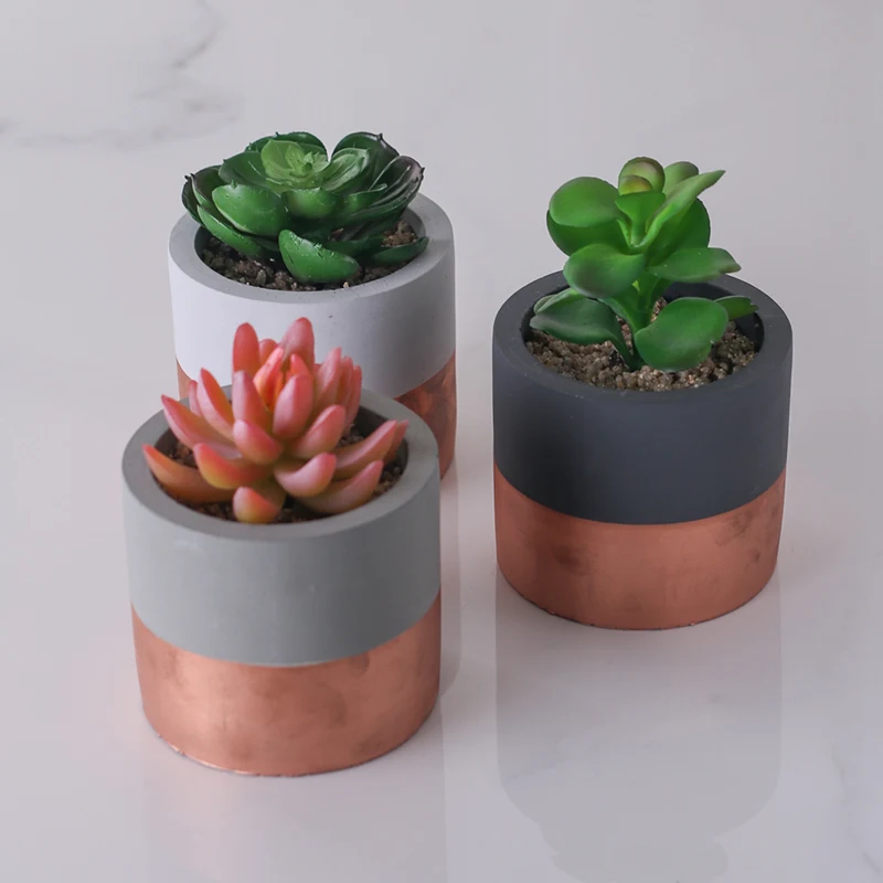 

Home Decor Mini Cement Flower Pot With Succulent Bonsai Plants, N/a