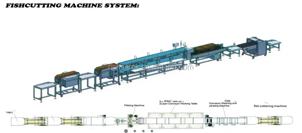 Automatic Shrimp Cleaner Grader Machine/prawn Washing Grading Machine/fresh Shrimp Size Roller Sorting Machine For 6 Grades