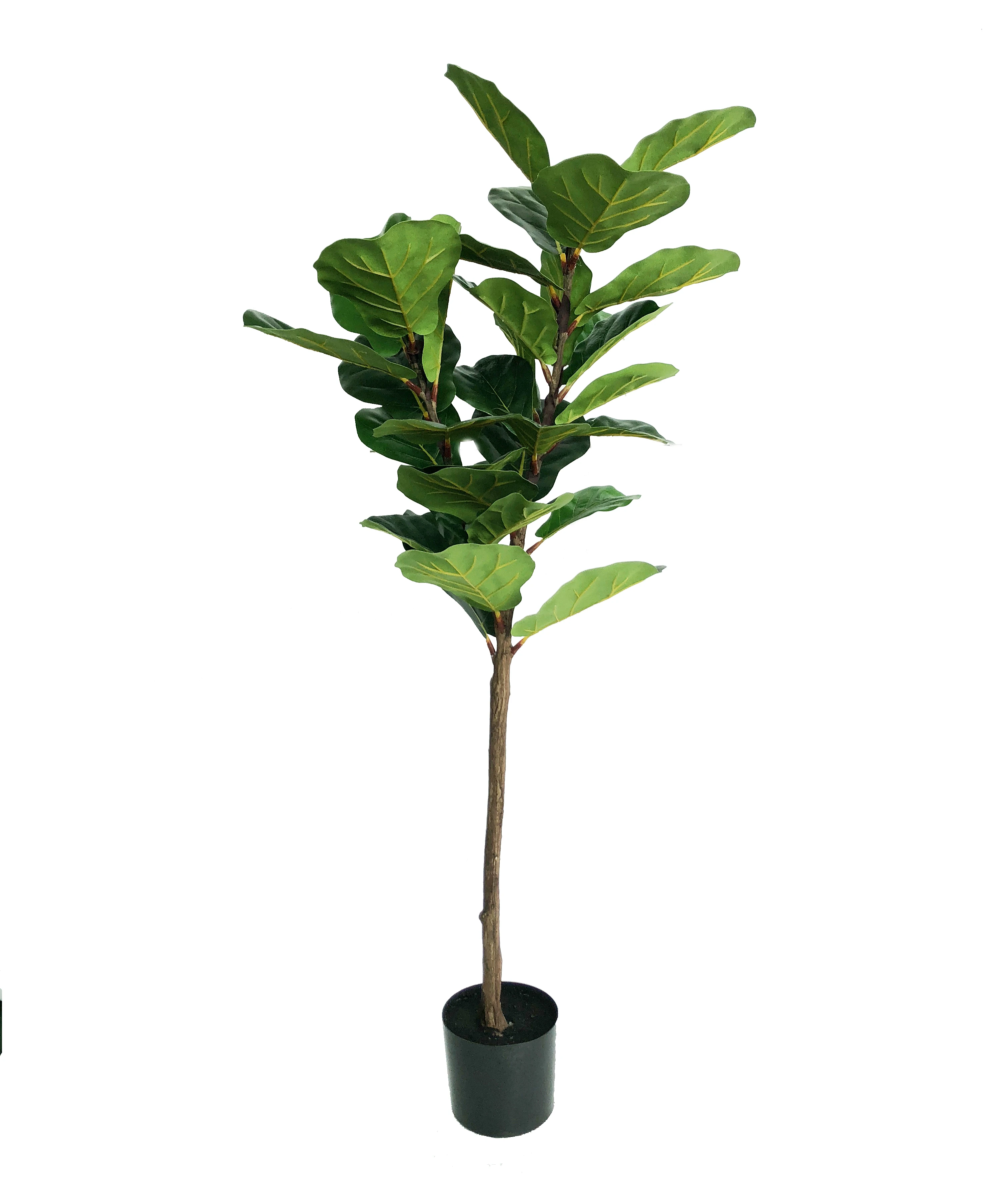 Retail Artificial Ficus Lyrata Benjamin Tree For Indoor And Outdoor ...