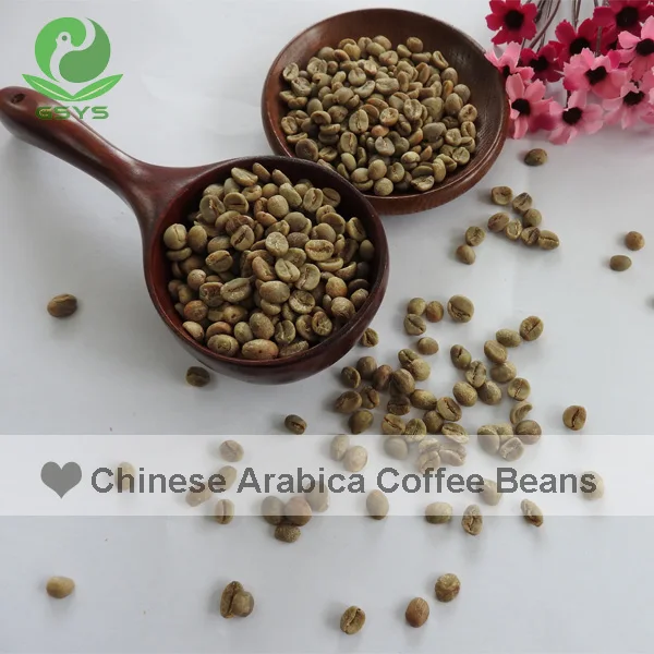 
YUNNAN Arabica coffee beans raw coffee bean 