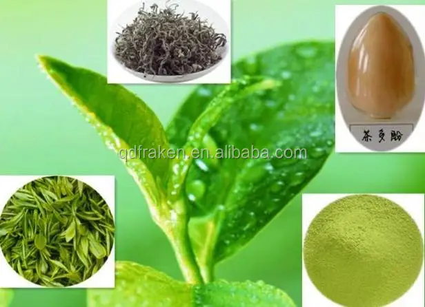 Green Tea-Extract.jpg
