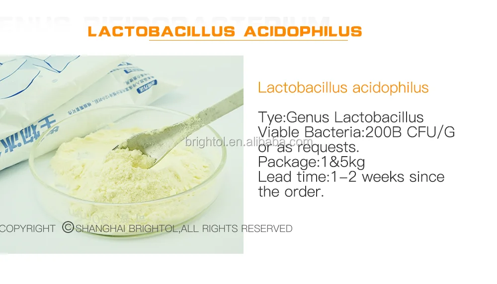 Lactobacillus Acidophilus Good For Digestive Health Buy Feed