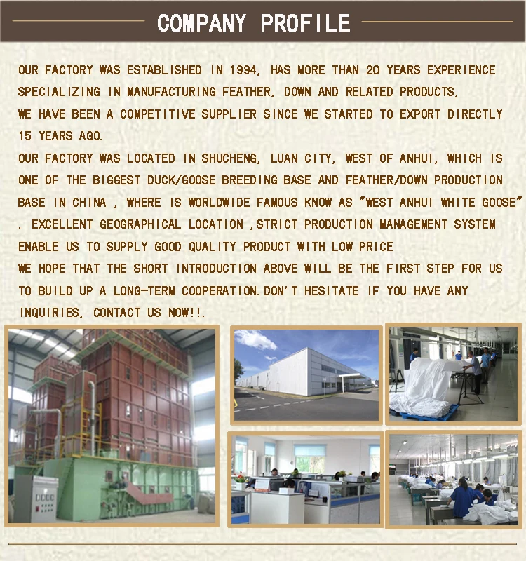 Company profile 