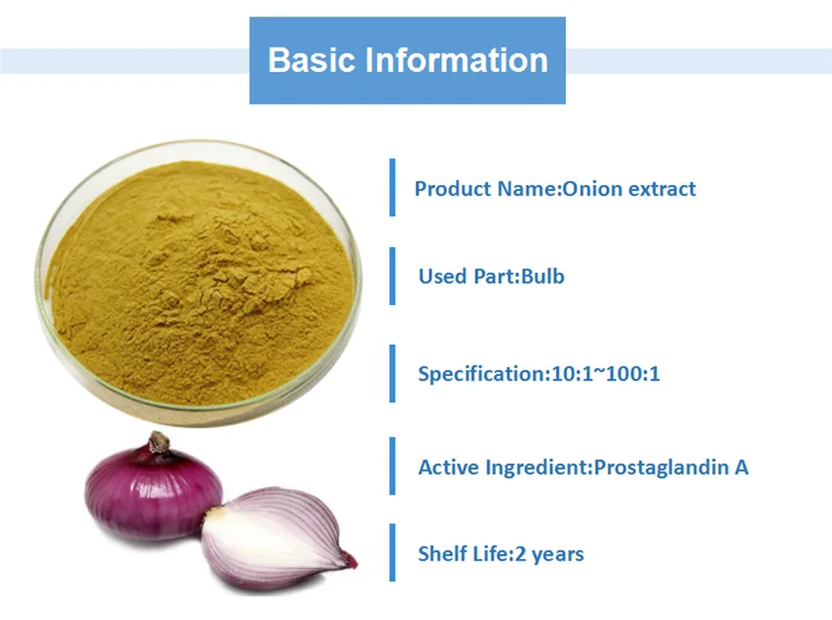 Gmp High Quality Red Onion Extract Powder Etuber Onion Seed Extract Buy Red Onion Extract,Red