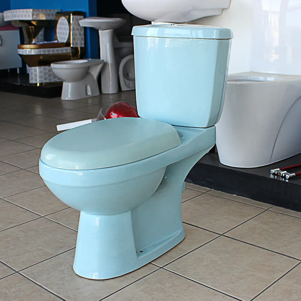 blue toilet seat