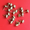 Qingdao High Quality Decorative Chair Nails