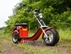 Chinese best 3000w scooter EEC, EPA, DOT approved motor scooter for wholesale