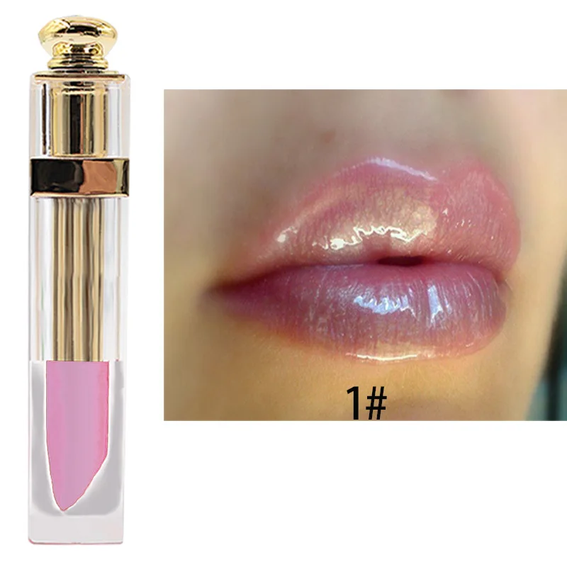 

2019 Private Label Wholesale Waterproof Labial glaze Liquid Lipstick no label lip gloss