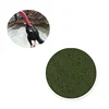 2019 hot GMO-FREE spirulina -- ideal vegetarian source protein