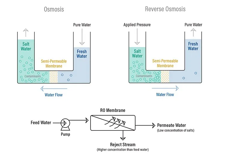 Feed water