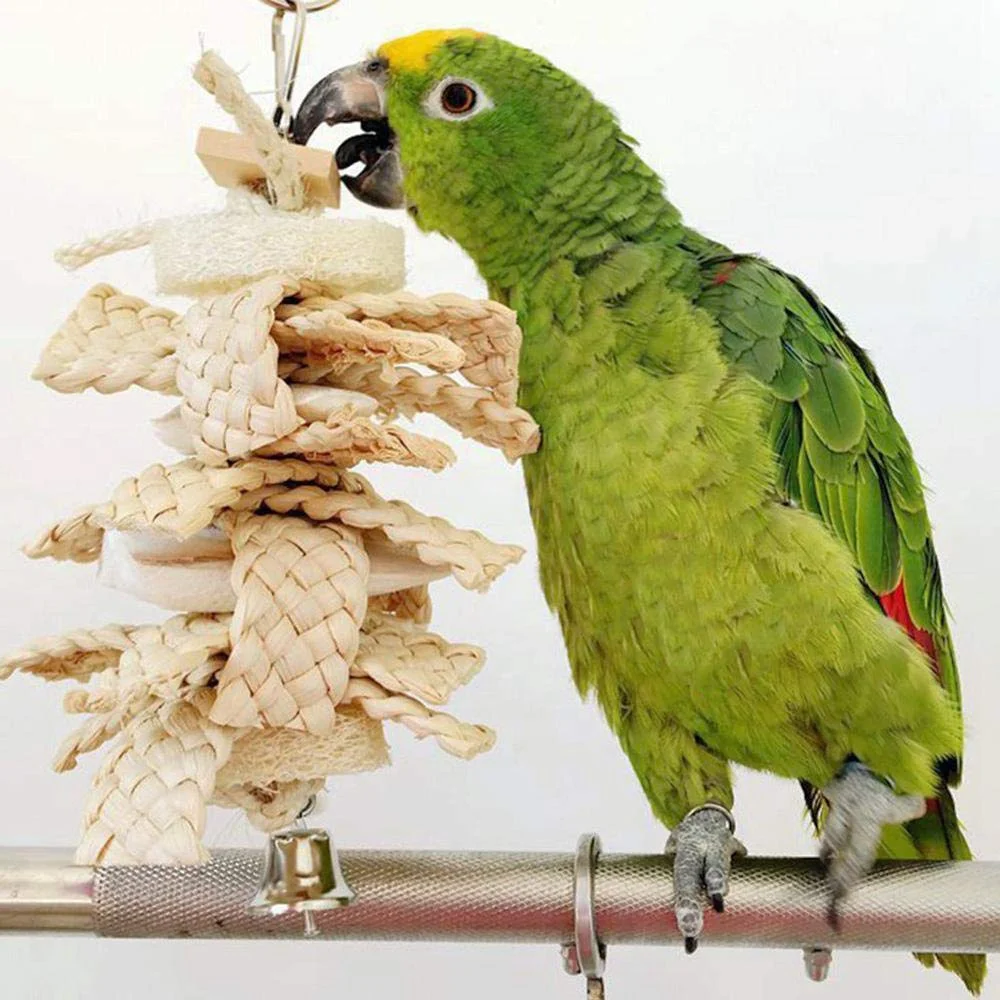 

Bird Chew Toy Parrot Supplies Hanging Natural Cuttlefish Bone Calcium Supplement Straw Grass Bite Gnawing Toy for Parrot Budgie