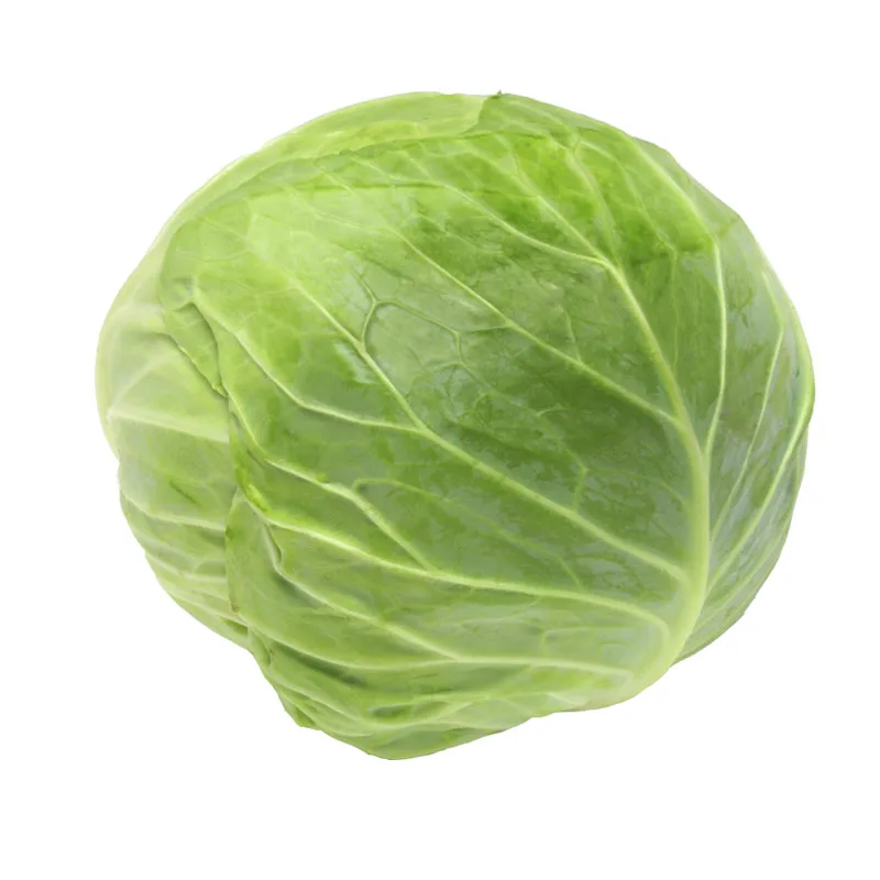 
White cabbage 