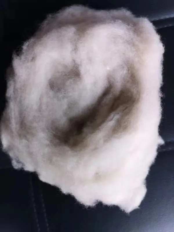 _20190309204702.jpg