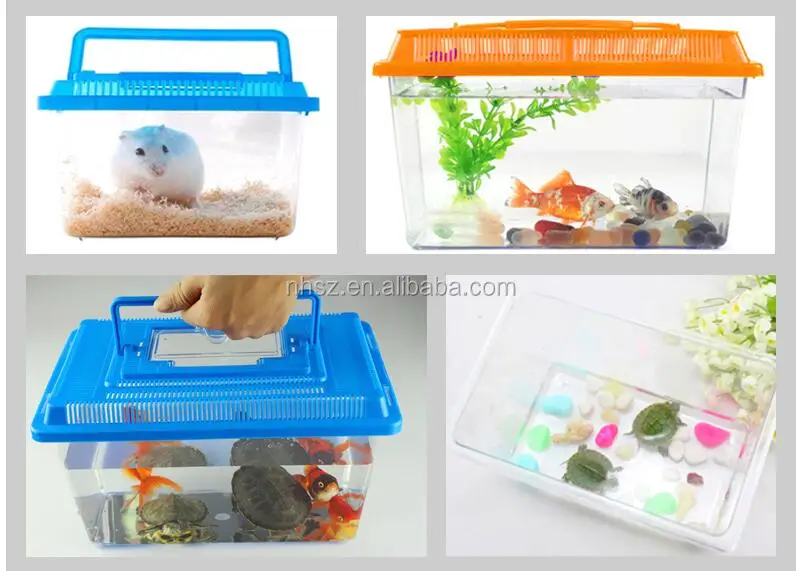 Durable Portable Fish Transportation Box - Mini Aquarium