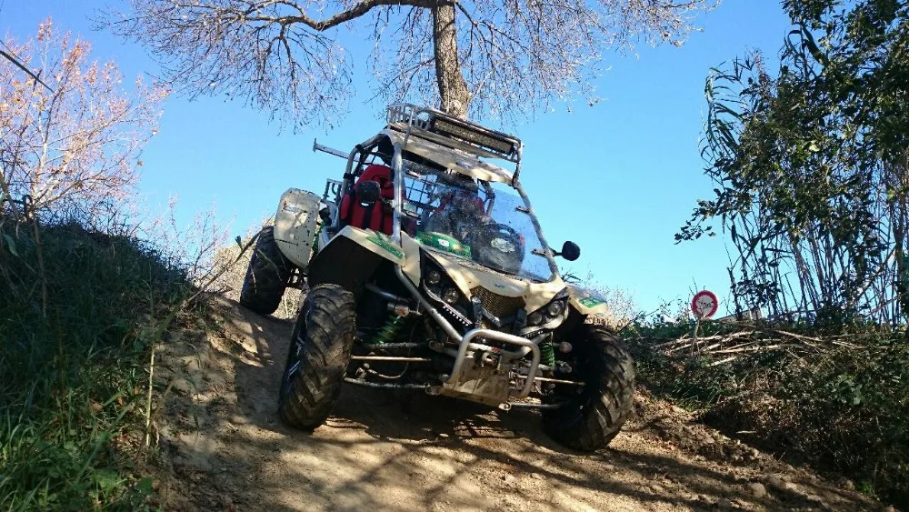 trail buggy for sale
