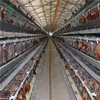 China factory offer automatic poultry farming broiler&layer chicken cage price