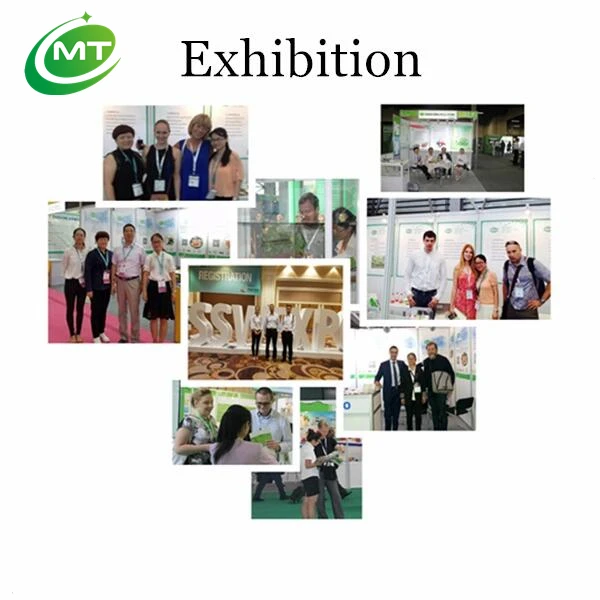 exhibition.jpg