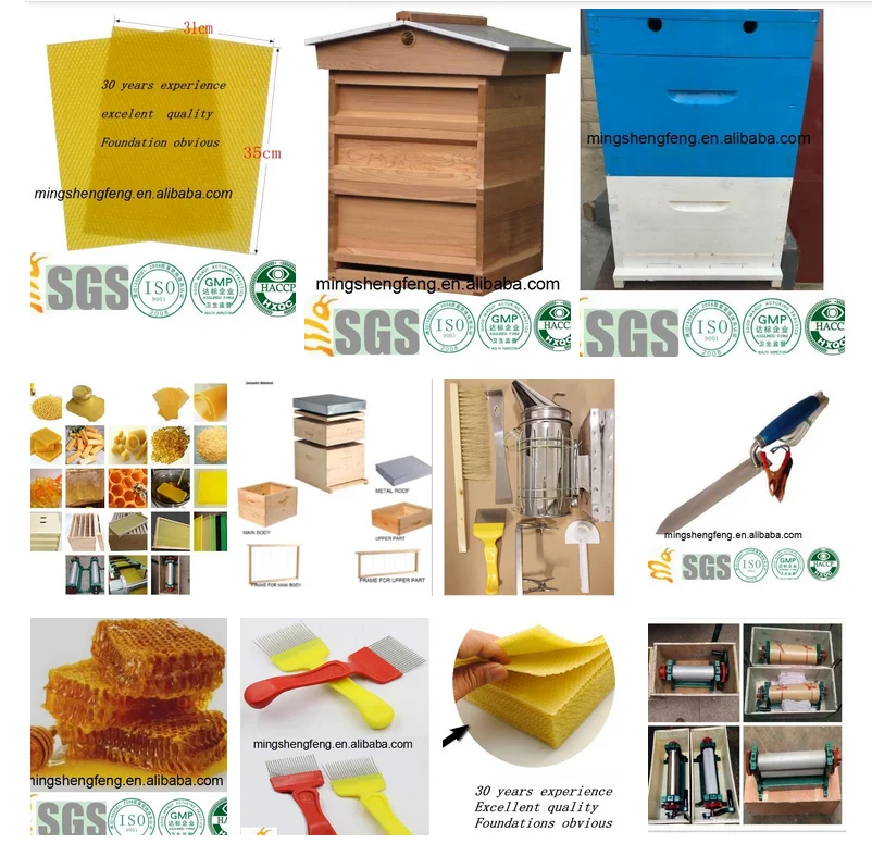 paste-pic-dp_uuid_q7jwt