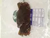 Soft Shell Crab