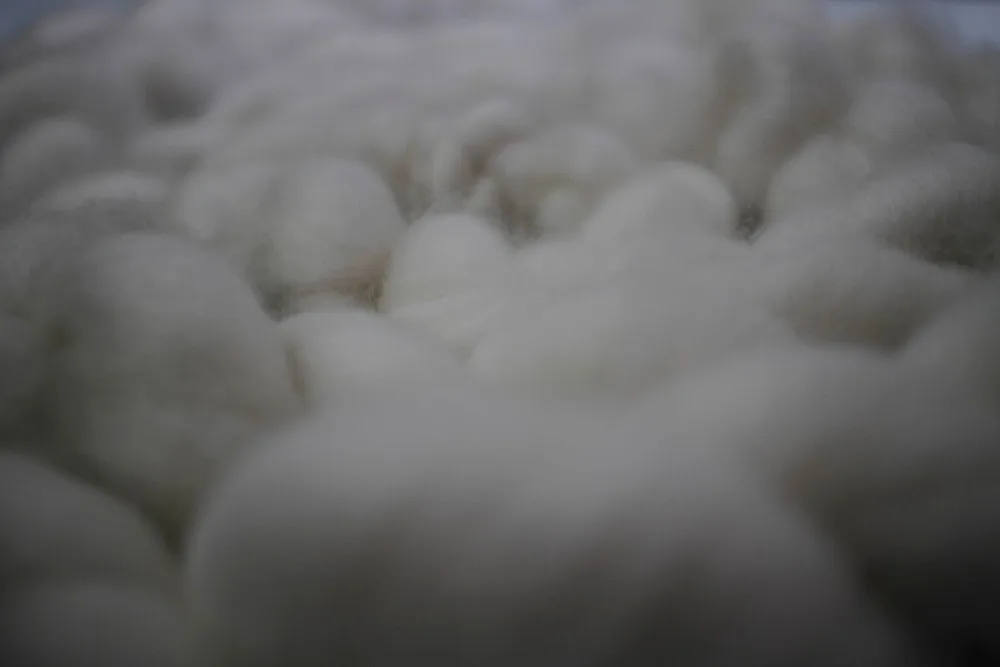 
Precious Raw Material Roving Dehaired Cashmere Tops Cashmere Fiber 