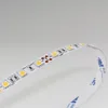 Good Price High Quality 60leds per Meter Big and Stable Chip 5050 LED Strip Light