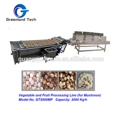 fruit vegetable processing machine
