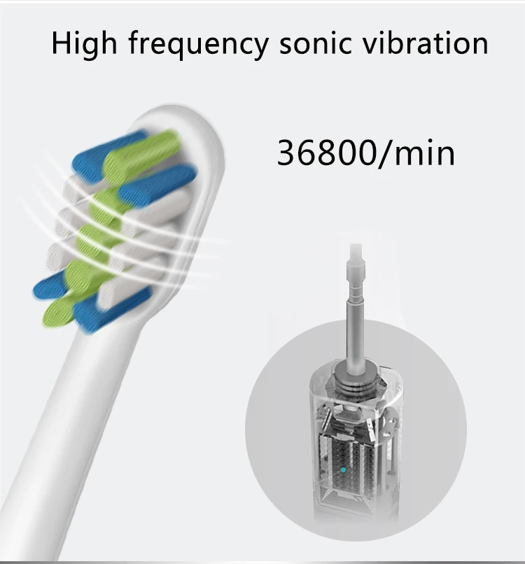 

Top quality replacement soft sensetive DuPont bristle electric toothbrush heads, White&black