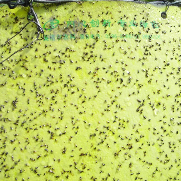 yellow sticky card1.jpg