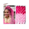 100g 24'' hair expression braids synthetic weave