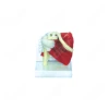Human Shoulder Joint Model Human Anatomy White Color Skeleton Model