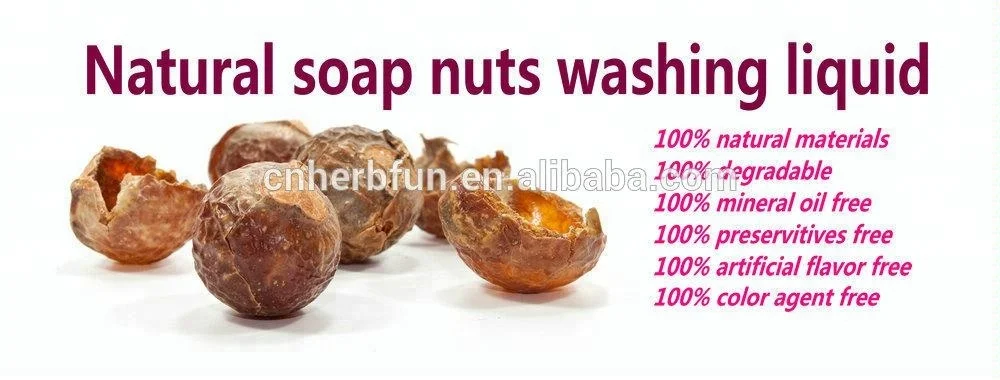 
Anti-bacteria Itch Relieving Natural Organic Pet Supplies Cat and Dog Shampoo 