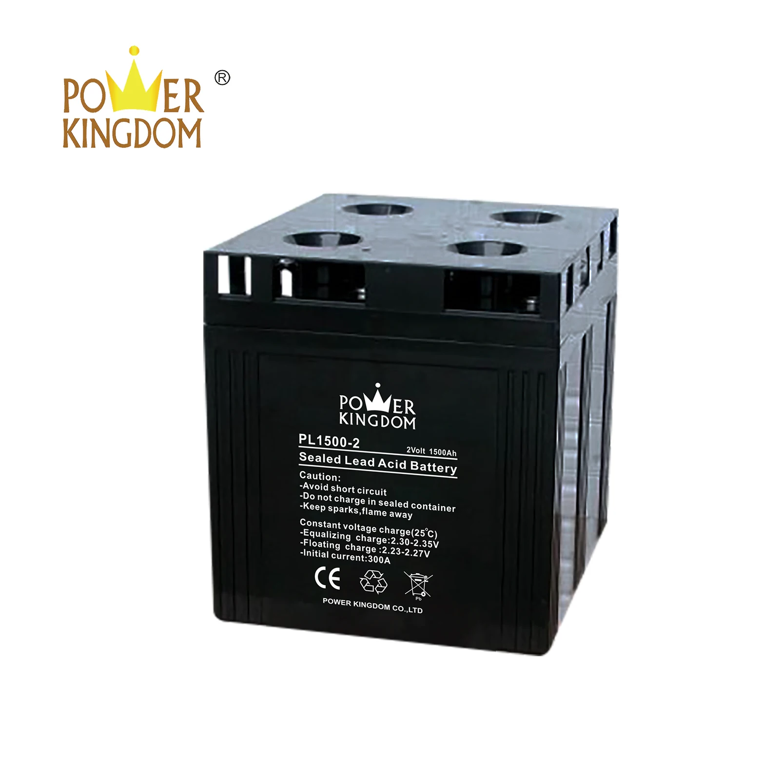 Power Kingdom good quality flooded cell battery Supply fire system