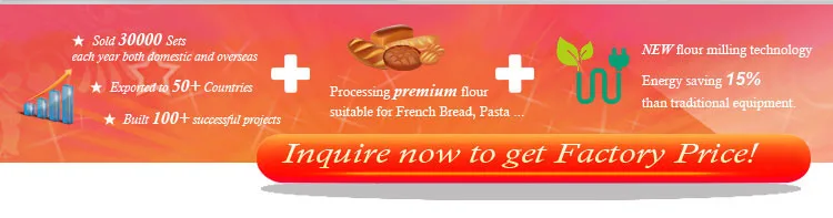 Teff Flour Mill Screen Size 0.2Mm Flour Milling Machine Powder