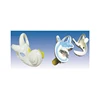 Inner ear lost model medical training model medical science anatomical model