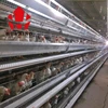 automatic meat brooding layer cages with egg collecting system for transporting chickens