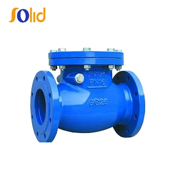 Double Flanged Swing Check Valve