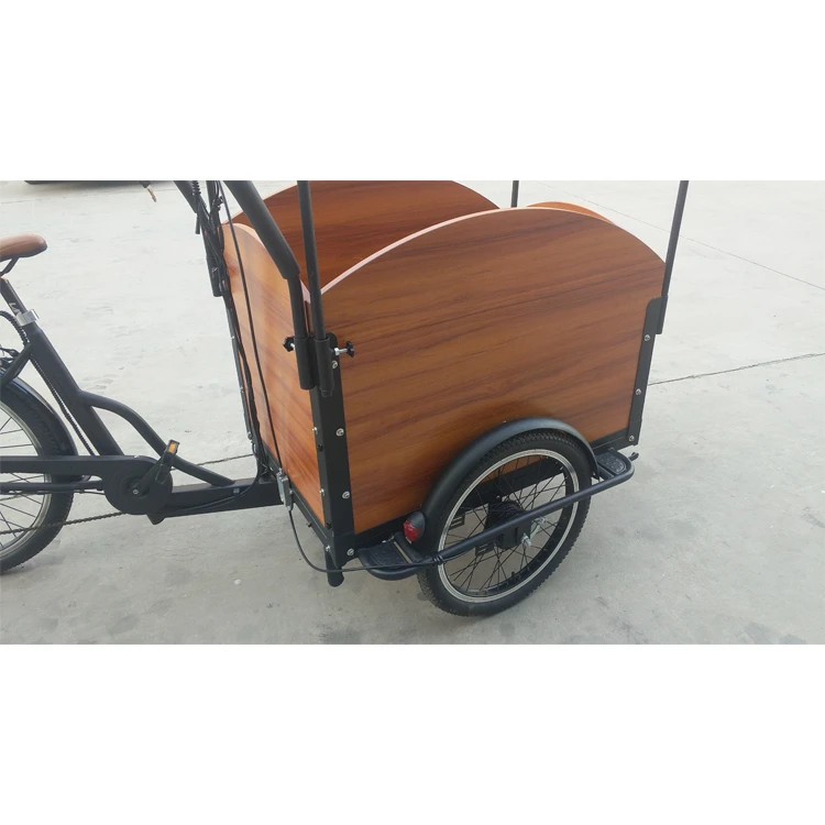 Folding Electric Tricycle For Adults With 2 Seat Electric Tricycle