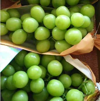 
Hot Sell Fresh Sweet shine muscat green grape 
