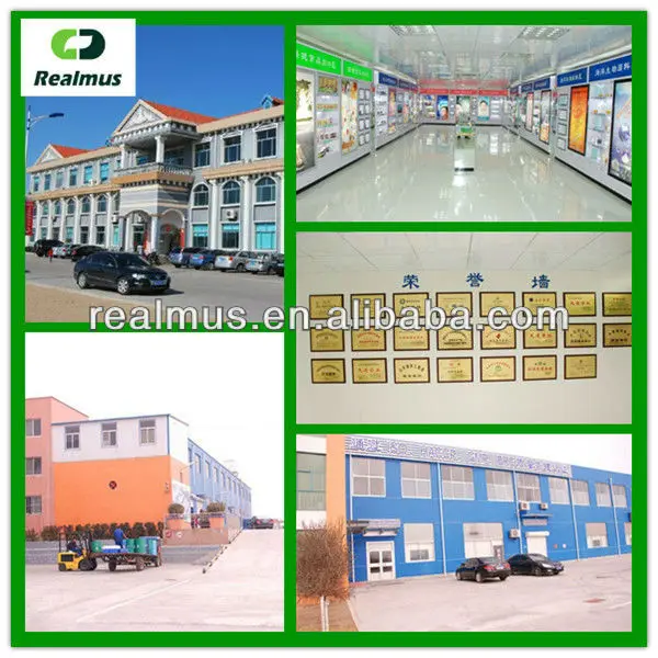 shanghai realmus industry 1 