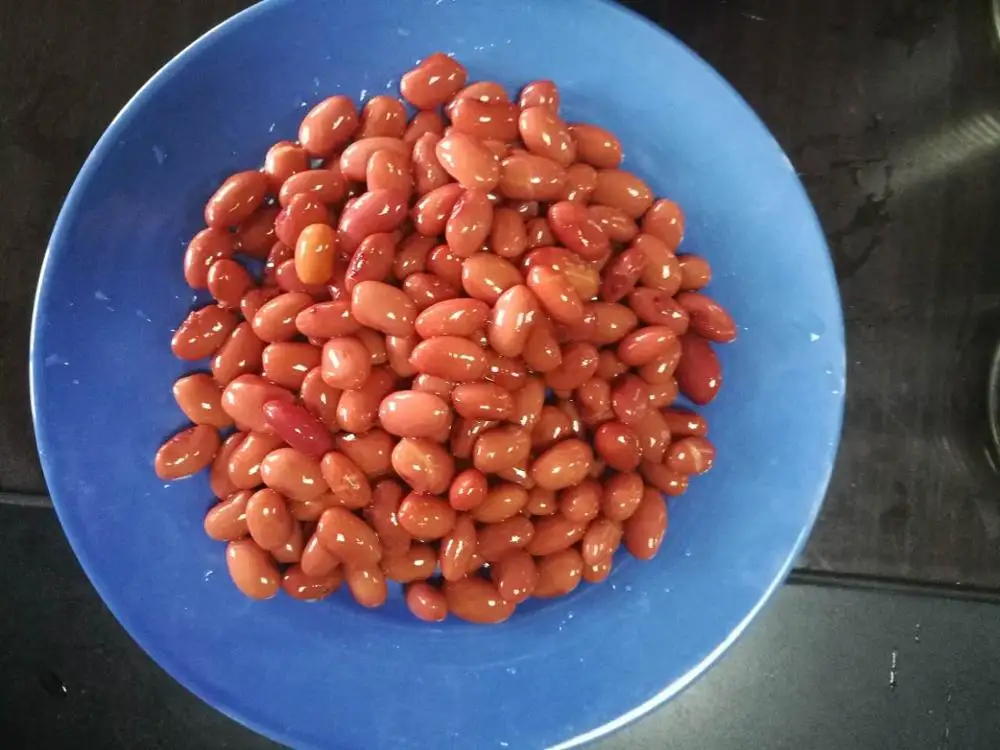 Canned Red Kidney Beans Tinned Food Buy Canned Kidney Beans,Kidney