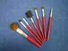 Cosmetic Brush Set