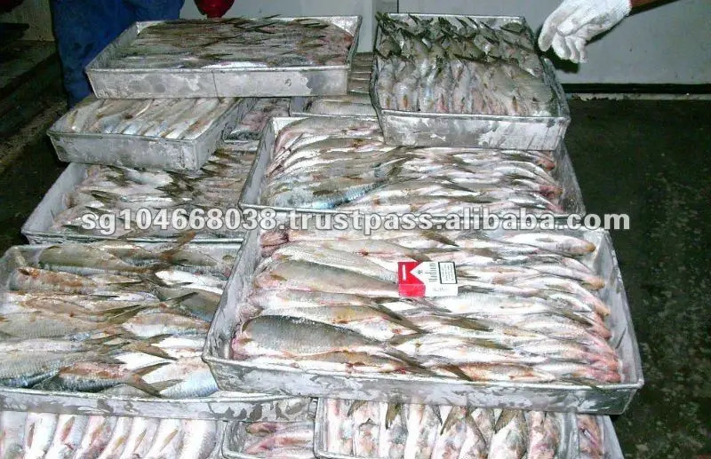 12 Palet platos congelados detalle con Paquete tabaco.jpg